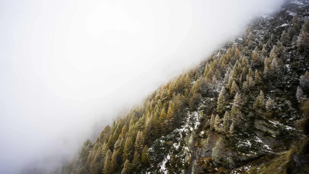 Empowering Boudoir Portraits: A Guide to Confidence