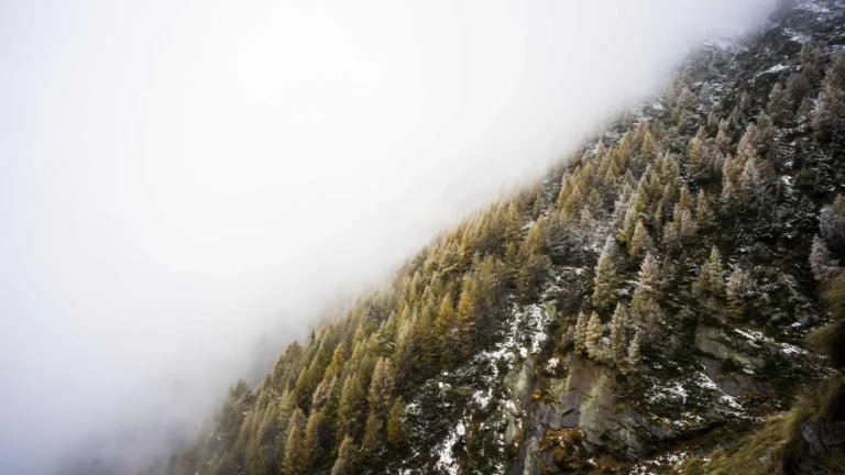 Empowering Boudoir Portraits in West Palm Beach