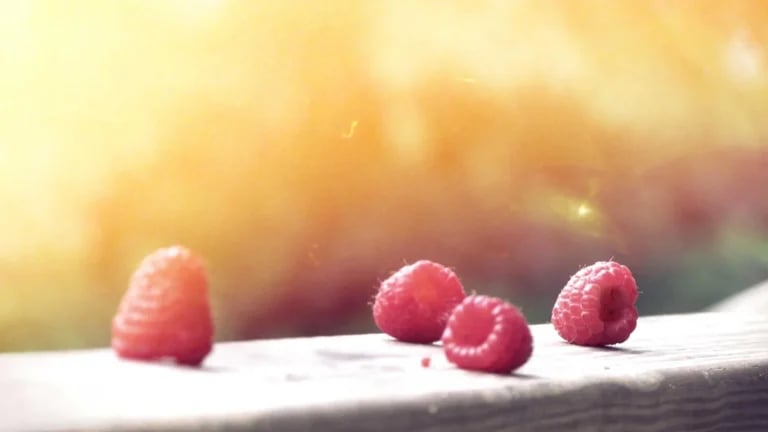 Mastering the Art of the Perfect Portrait in South Florida