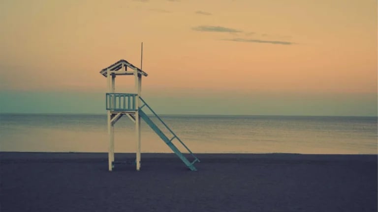 Professional Headshots Miami: Elevate Your Brand Image