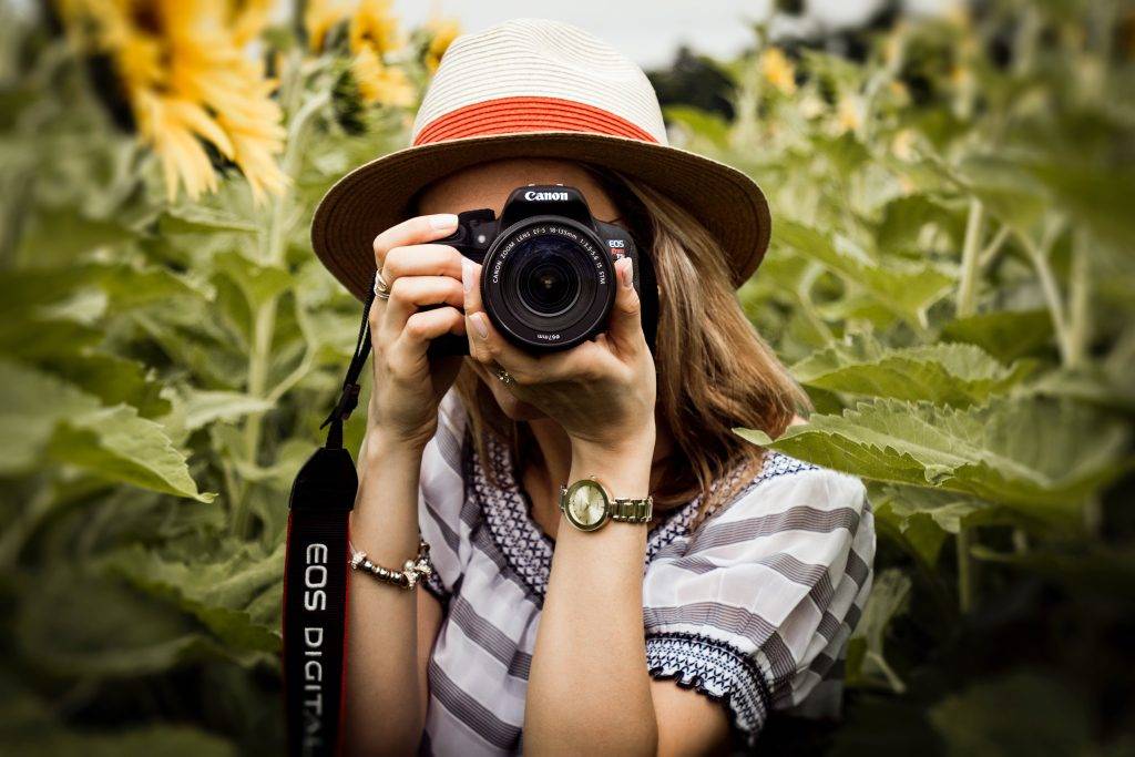 A photographer shooting in a field of sunflowers, shooting on a Canon camera