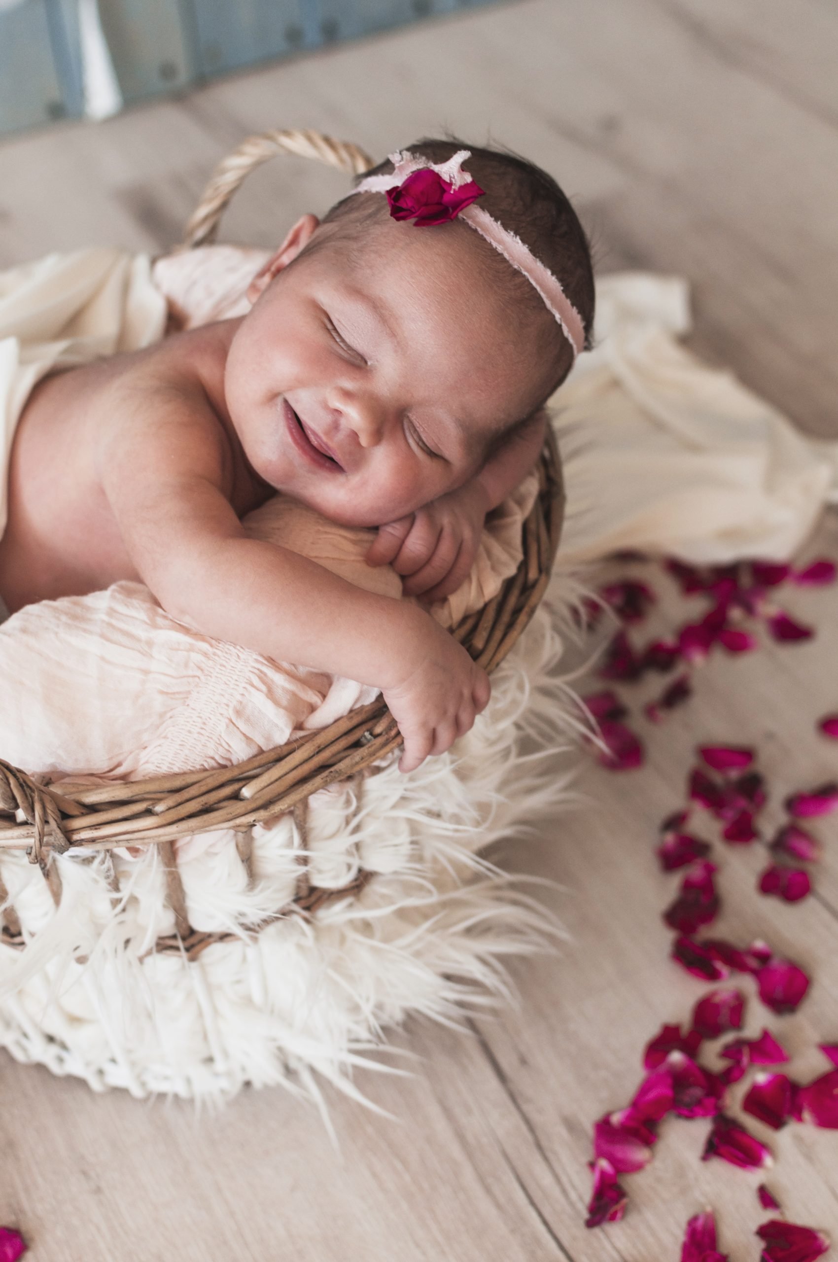 New Born & Maternity Photographer Fort Collins 9 New Born & Maternity Photographer Fort Collins - Candid Studios