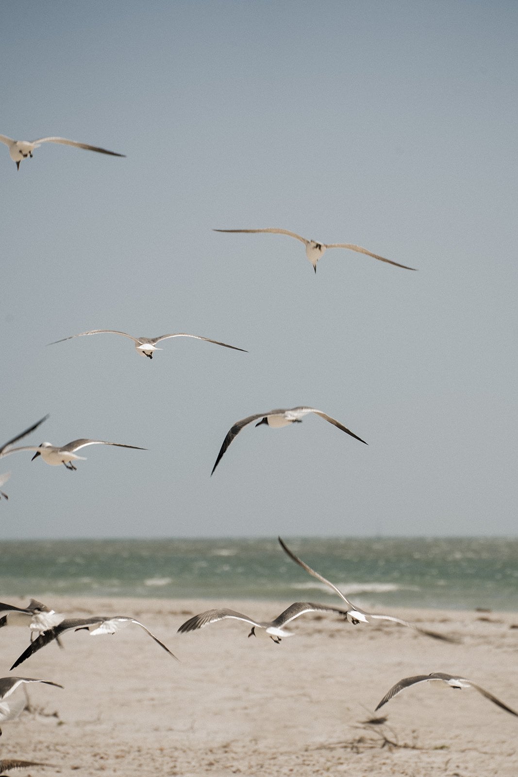 Photo by Lauren S.