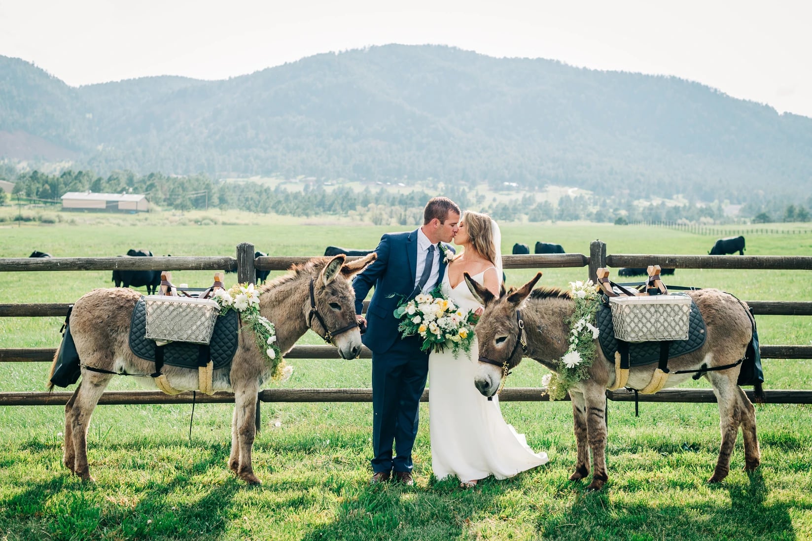 Spruce Mountain Ranch work sample